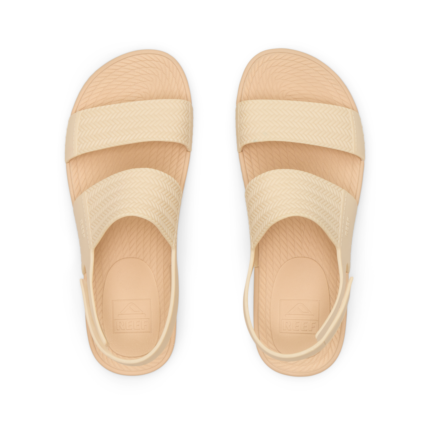 Reef Water Vista